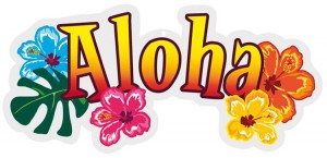3D-Wanddeko Aloha